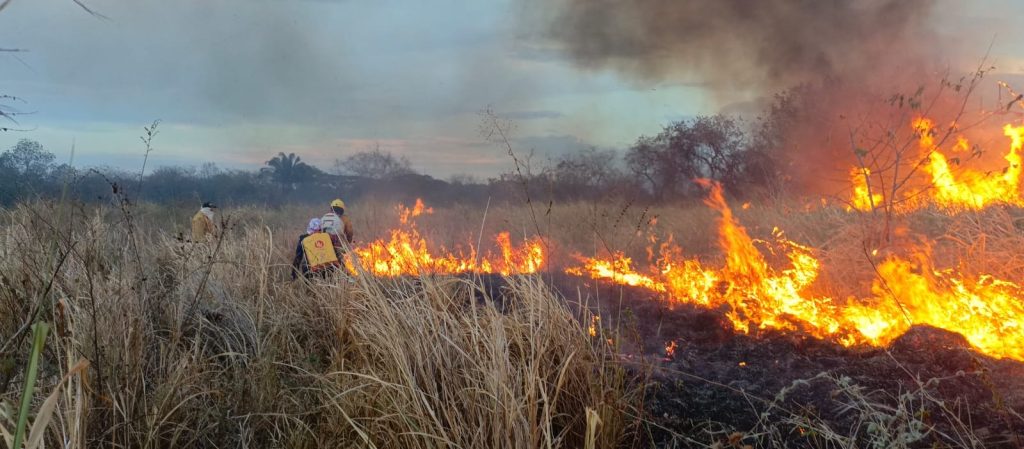 Bomberos atienden Incendio Forestal 