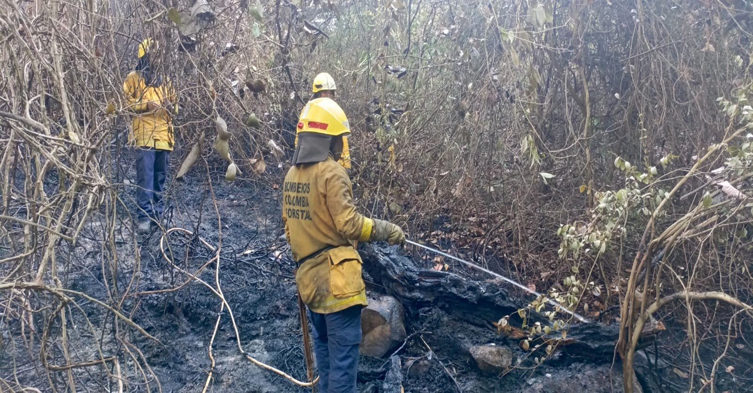 Bomberos voluntarios de Rivera Huila atienden emergencia por incendio Forestal  