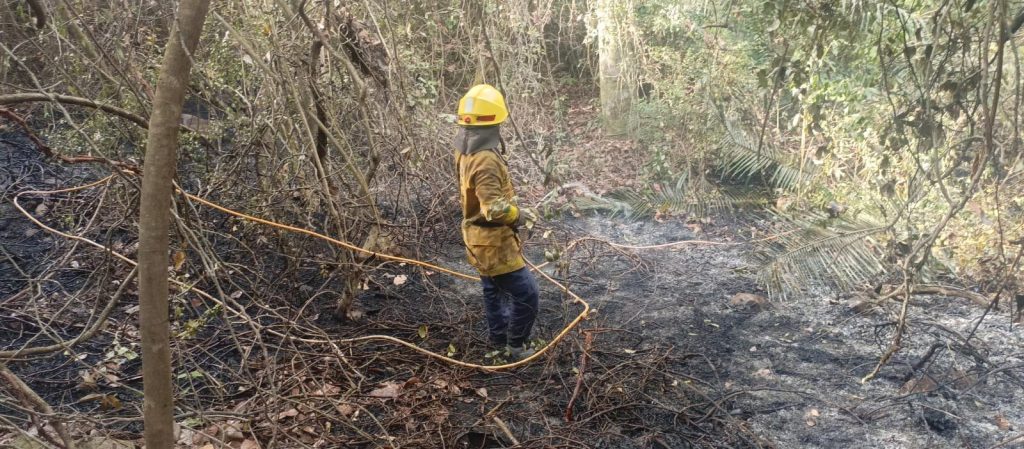 Bombero En zona de emergencia apagando incendio forestal