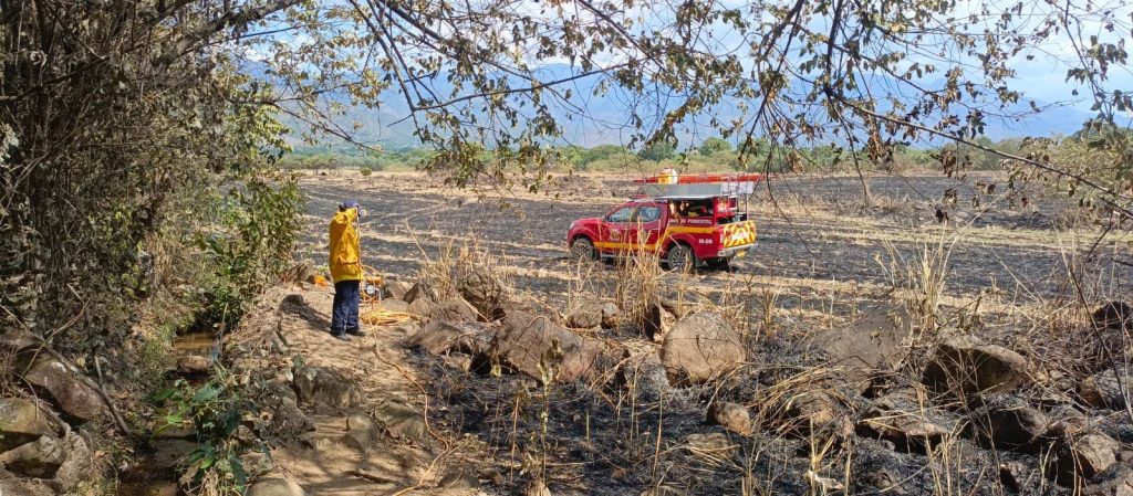 Bomberos apagando incendio con vehículo de intervención rápida