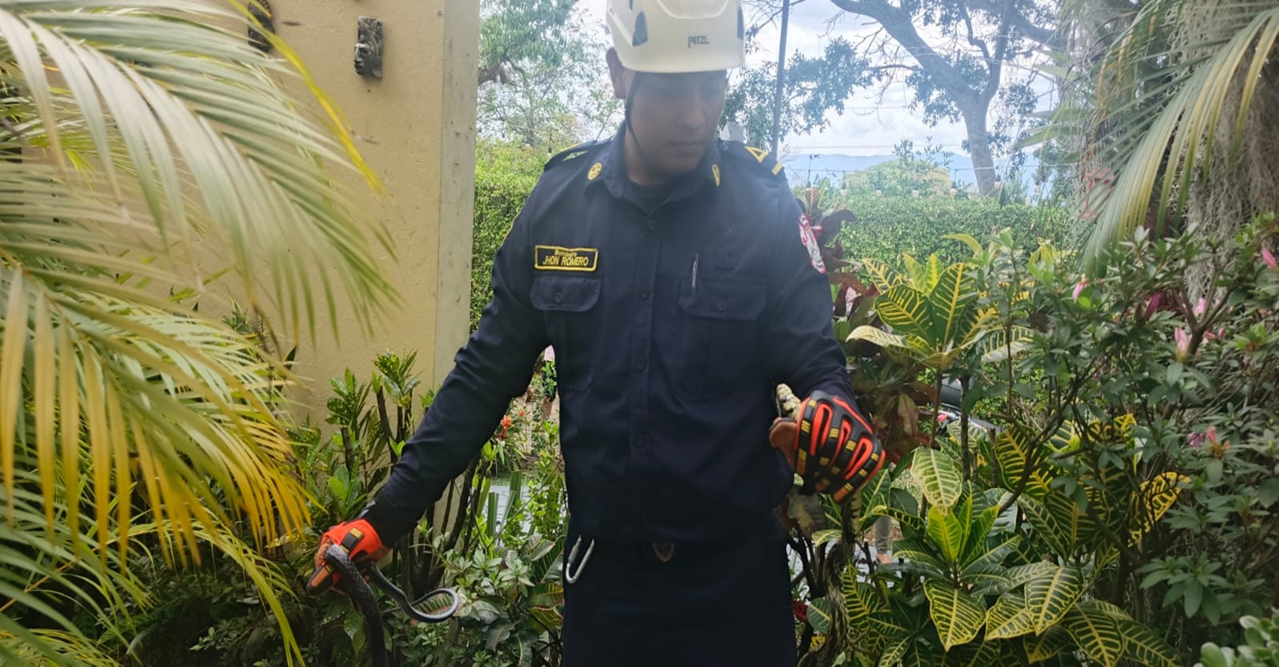 Bomberos de La Mesa rescataron y reubicaron de manera segura una serpiente en zona rural de Cundinamarca