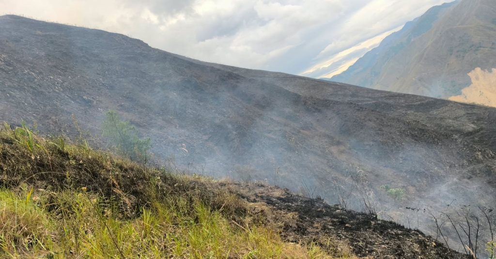 Panorámica de la cobertura vegetal afectada por el incendio forestal que consumió aproximadamente 120 hectáreas en zona rural de La Plata, Huila.