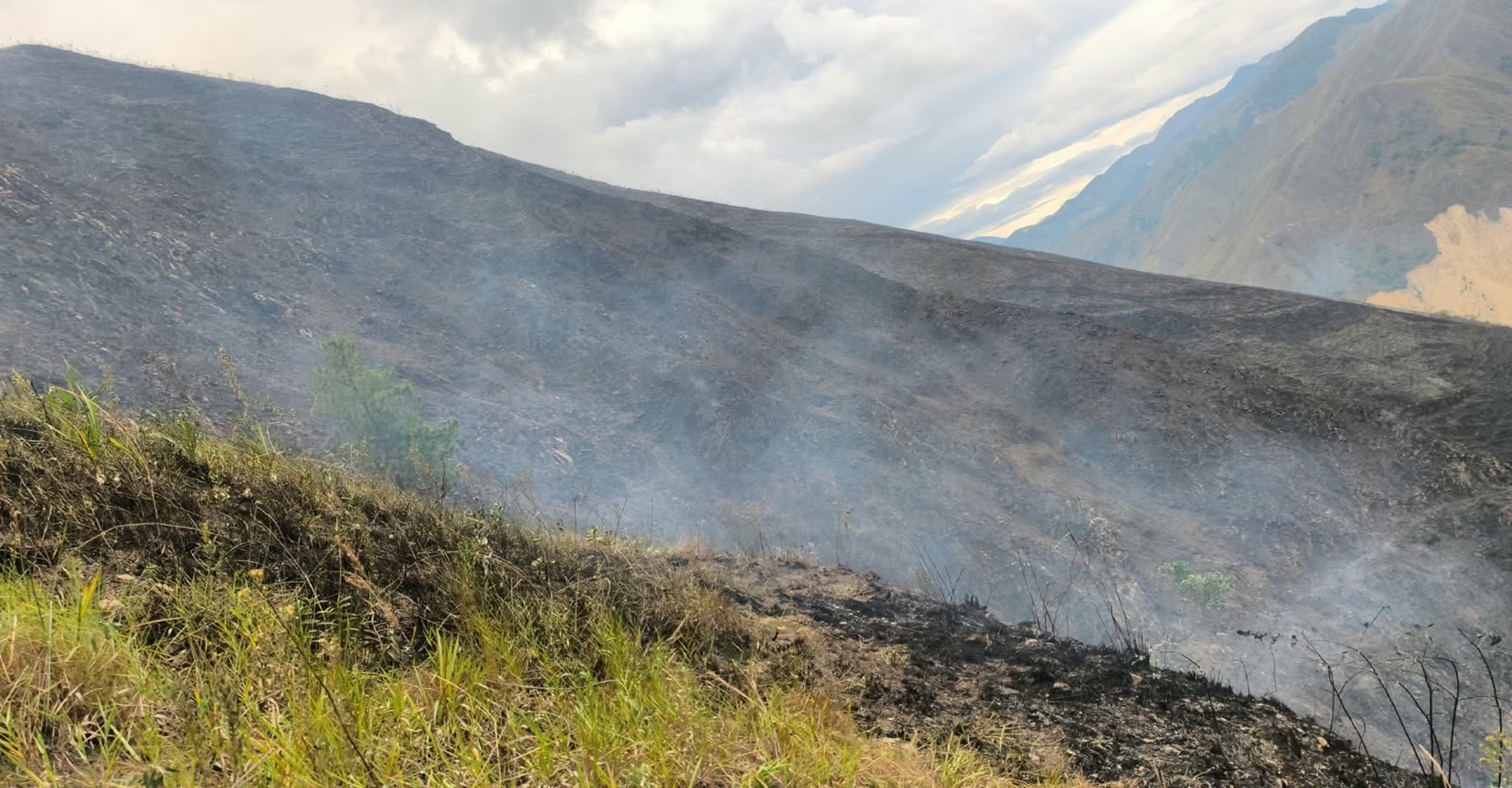Bomberos de La Plata controlaron incendio forestal que afectó 120 hectáreas de vegetación en el Huila