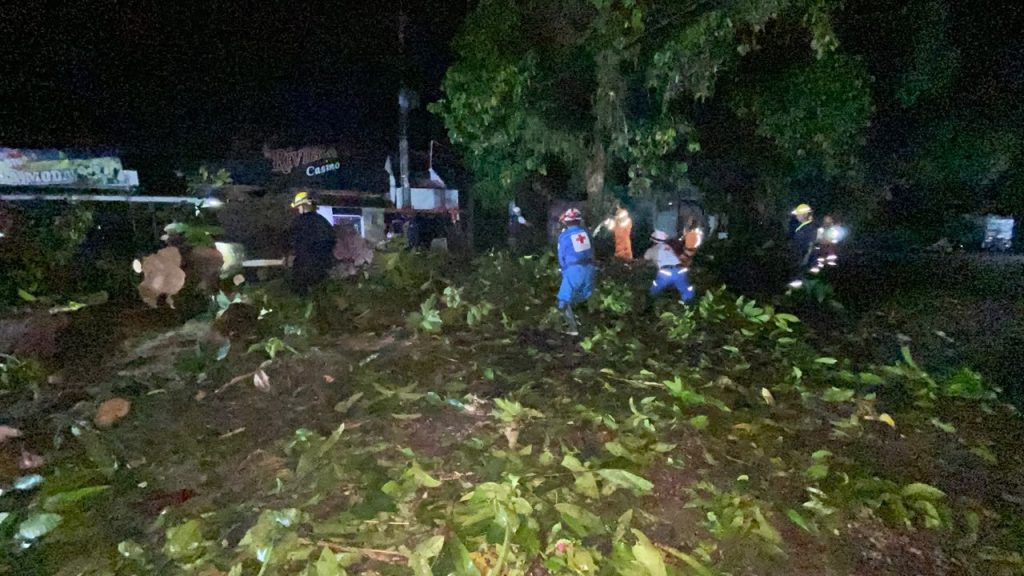 Bomberos realizan labores de atención y despeje de áreas afectadas por la caída de árboles durante el vendaval.