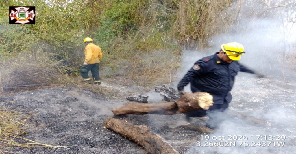 Bombero apoyando liquidación Incendio forestal