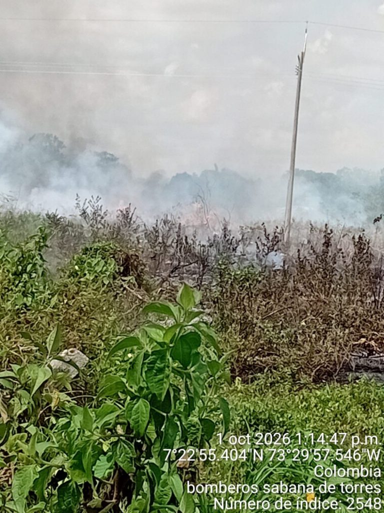 Fuego y humo avanzan sobre la cobertura vegetal del sector, evidenciando la magnitud del incendio forestal atendido por las unidades bomberiles.