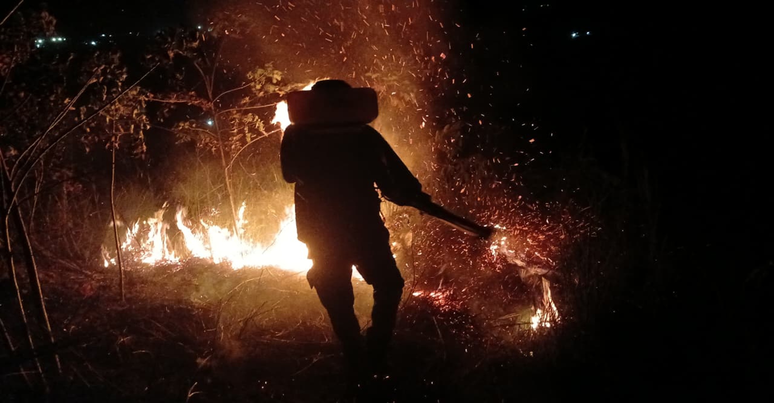 Bomberos liquidaron incendio forestal que afectó seis hectáreas de vegetación en Tierralta, Córdoba